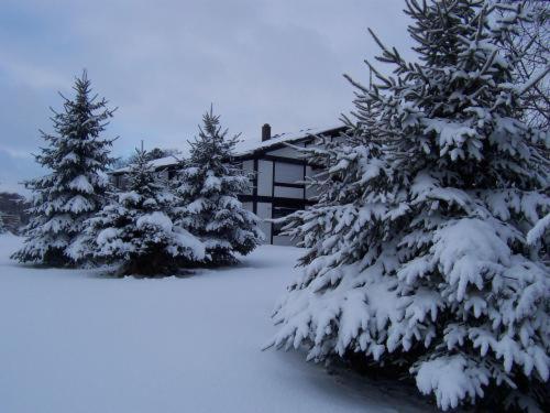 Hotel Abendroth Mittelbach エクステリア 写真